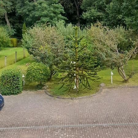 Pension Zum Park Goldberg Exterior photo